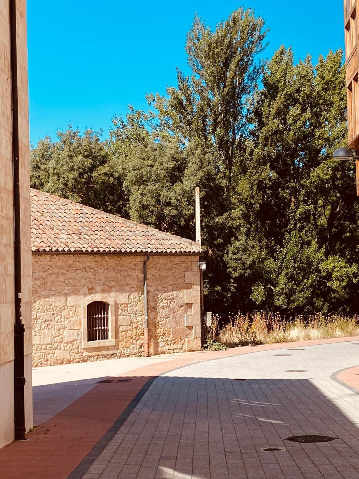 Casa De La Torre By Salamancavacacional المظهر الخارجي الصورة